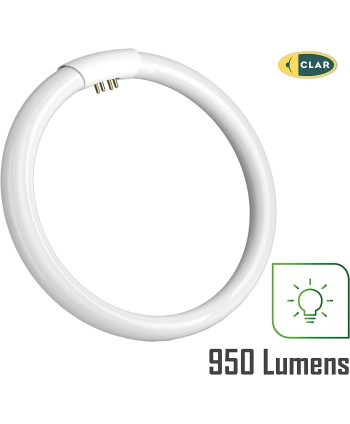 Tubo Fluorescente Circular de 22W Ø 22,5 cm