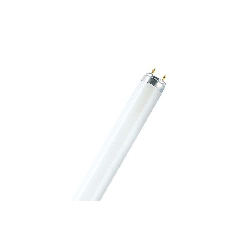 TUBO STANDARD T8 Ø26 36W 6500⁰K