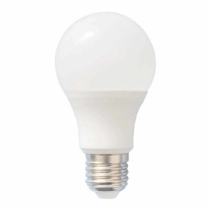 STANDARD LED E27  6W 12/24VDC