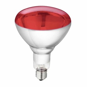 Bombilla Infrarrojo 250W...