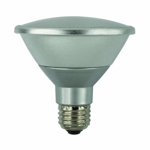 Bombilla Led Par 30 de 13W