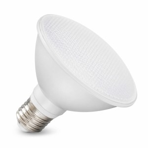 Bombilla LED PAR 30 de 13W