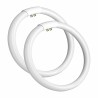 Tubo Fluorescente Circular de 32W Ø 29,5 cm